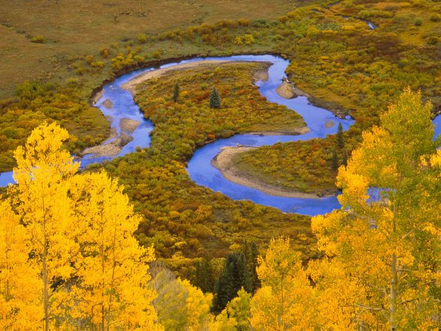Colorado - Winding Creek, Gunnison National Forest