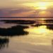 Florida - Dawn Breaking, St Joseph Peninsula
