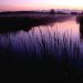 Florida - Sunset at Loxahatchee National Wildlife Refuge