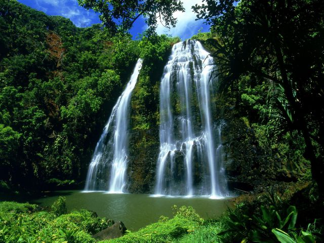 Hawaii - Opaeka'a Falls, Kauai