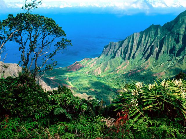 Hawaii - Pacific Breezes, Kalalau Valley, Kauai