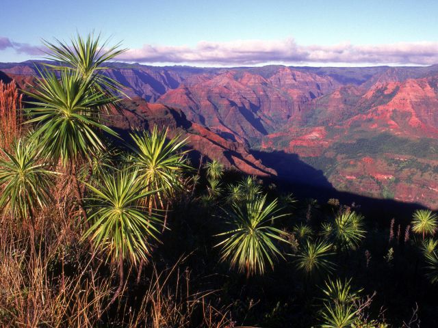 Hawaii - Waimea Canyon, Kauai