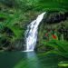 Hawaii - Waimea Falls, Oahu
