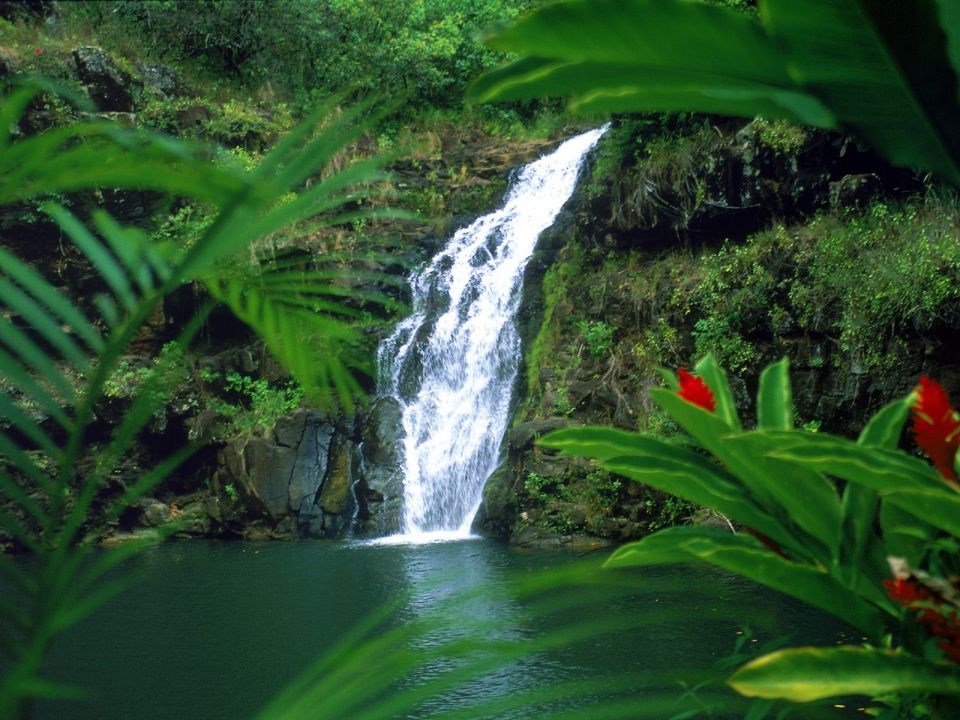 Hawaii - Waimea Falls, Oahu