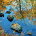 Illinois - Pond Reflections, Upper Dells, Matthiessen State Park