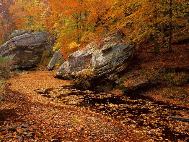 Illinois - Smith Springs Recreation Area, Shawnee National Forest
