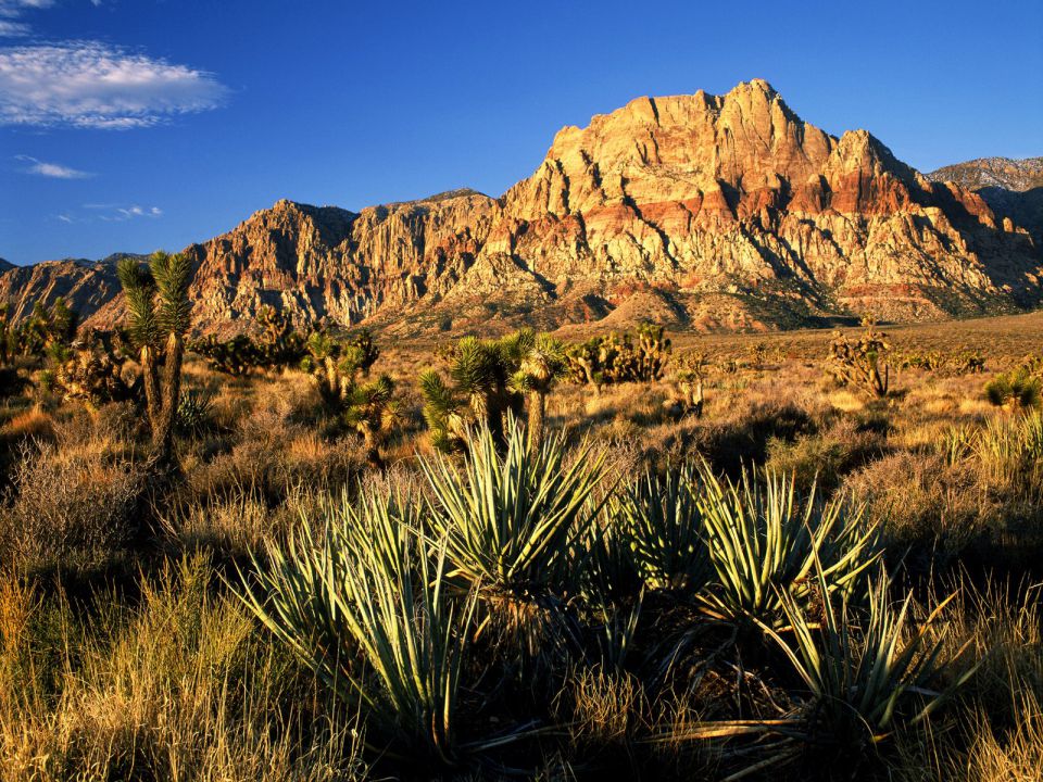 Nevada - Red Rock Canyon