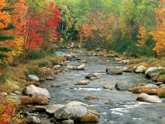 New Hampshire - Autumn Colors, White Mountains