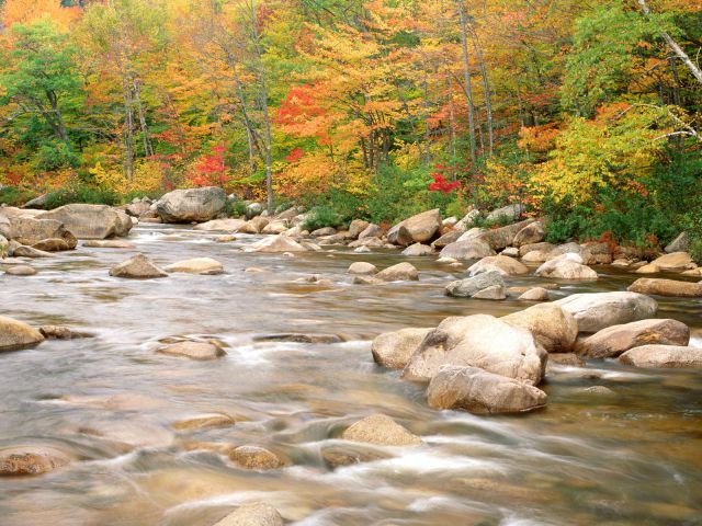 New Hampshire - Swift River and Autumn Colors, White Mountains National Forest