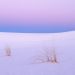 New Mexico - Tranquility, White Sands