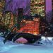 New York - Central Park in Winter City