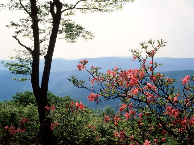 North Carolina - Blue Ridge Mountains