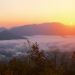 North Carolina - Joyce Kilmer Memorial Forest at Sunrise