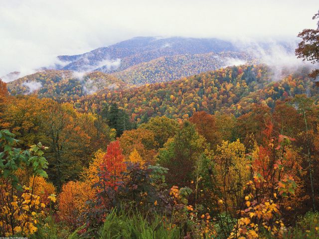 North Carolina - Lush Landscape, Appalachian Mountains