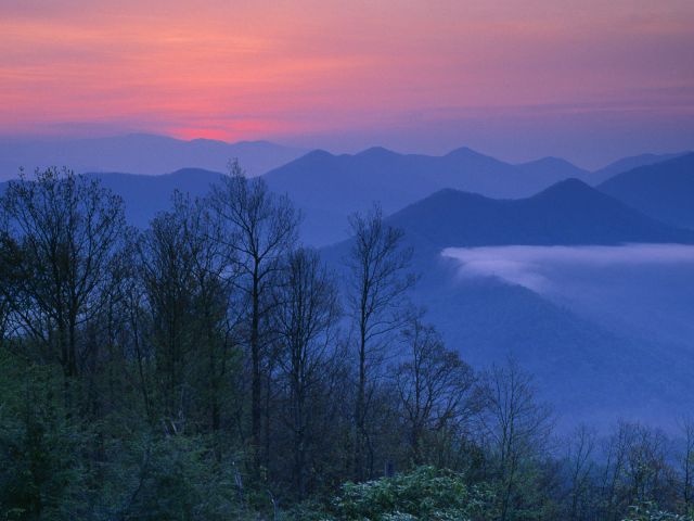 North Carolina - Moment of Sunrise, Joyce Kilmer Memorial Forest