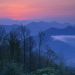 North Carolina - Moment of Sunrise, Joyce Kilmer Memorial Forest