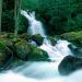North Carolina - Mouse Creek Falls, Great Smoky Mountains
