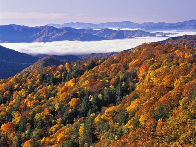 North Carolina - Thomas Divide and River of Fog, Great Smoky Mountains National Park
