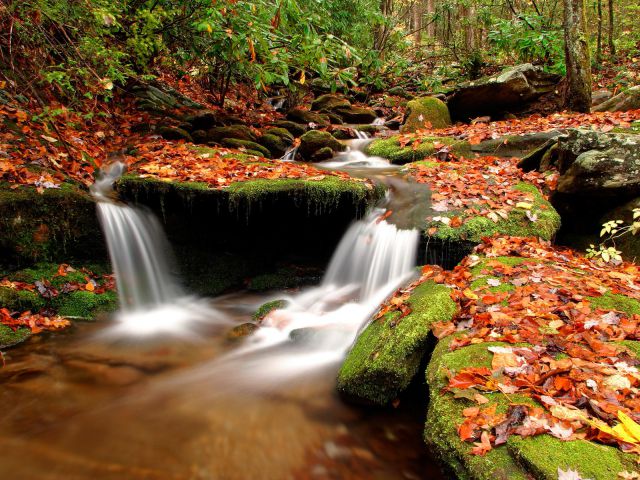 North Carolina - Wesser Creek in Autumn, Nantahala National Forest