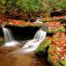 North Carolina - Wesser Creek in Autumn, Nantahala National Forest