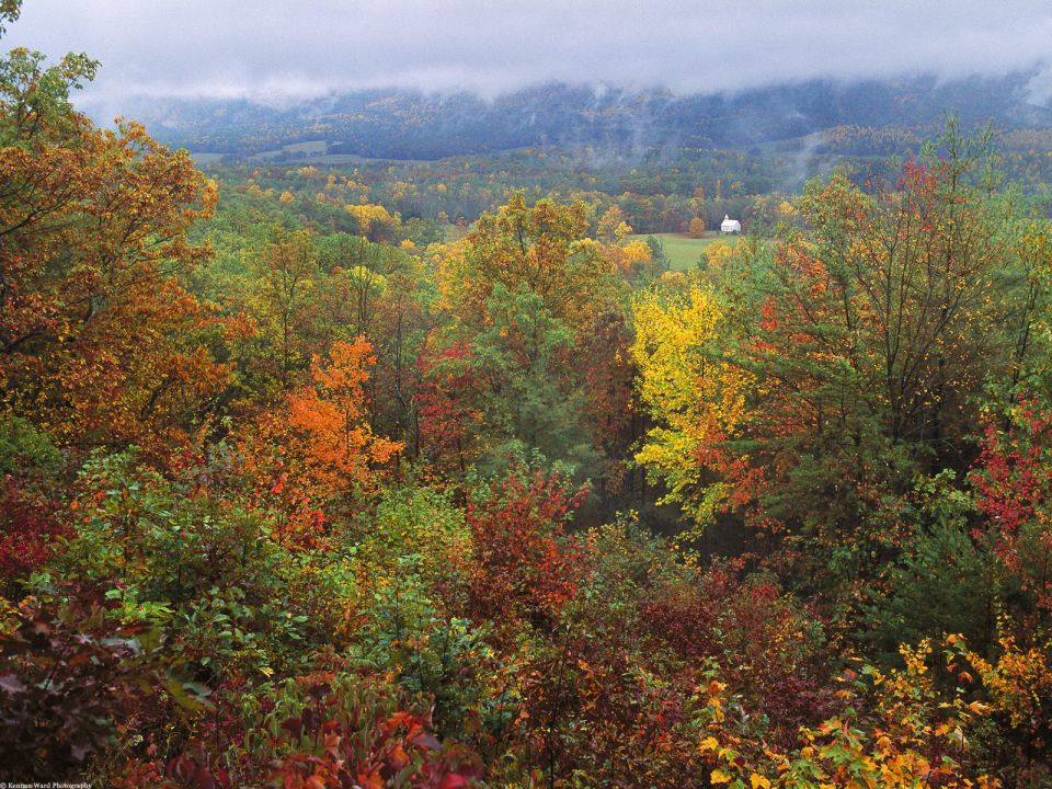 North Carolina - White Church in Autumn