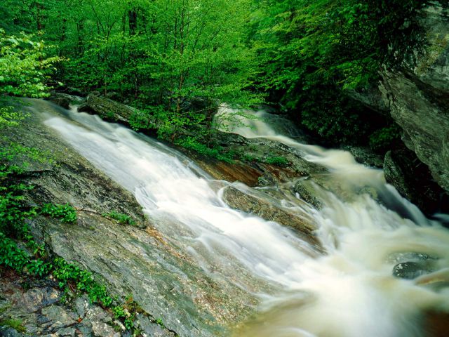 North Carolina - Wilson Creek, Pisgah National Forest