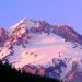 Oregon - Alpenglow on the Slopes of Mount Hood
