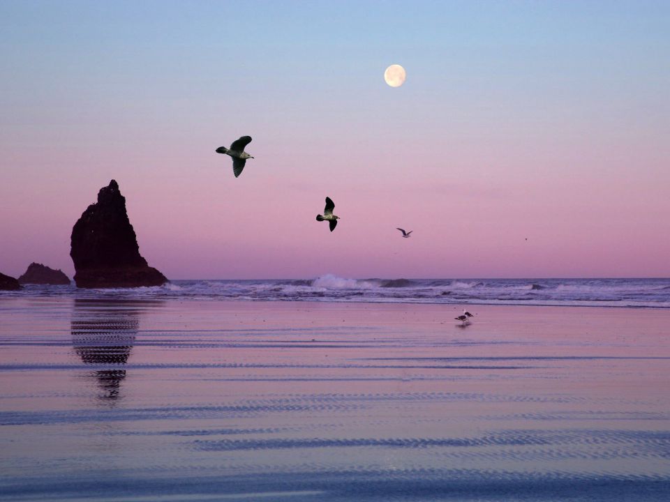 Oregon - Cannon Beach