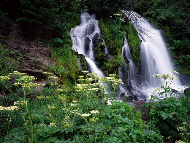Oregon - Cascading Waterfall, Umpqua National Forest