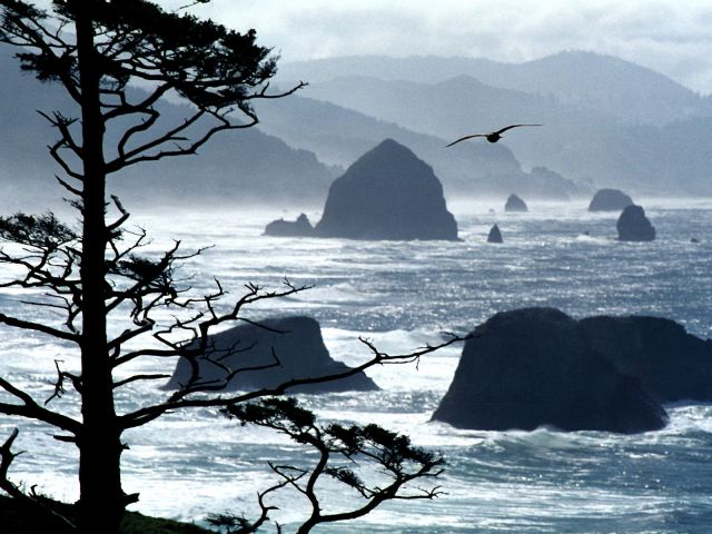 Oregon - Ecola Point Coast