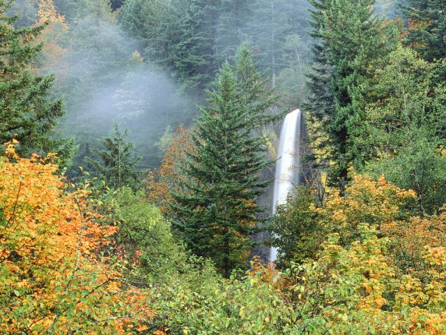 Oregon - Latourell Falls, Columbia River