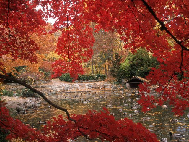 Oregon - Lithia Park in Autumn, Ashland