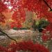 Oregon - Lithia Park in Autumn, Ashland