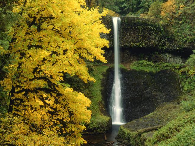 Oregon - Middle North Falls, Silver Falls