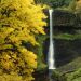 Oregon - Middle North Falls, Silver Falls