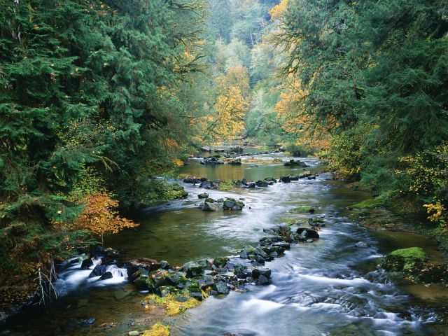 Oregon - North Fork of the Smith River, Siuslaw National Forest