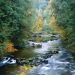 Oregon - North Fork of the Smith River, Siuslaw National Forest