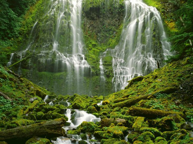 Oregon - Proxy Falls, Three Sisters Wilderness