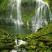 Oregon - Proxy Falls, Three Sisters Wilderness