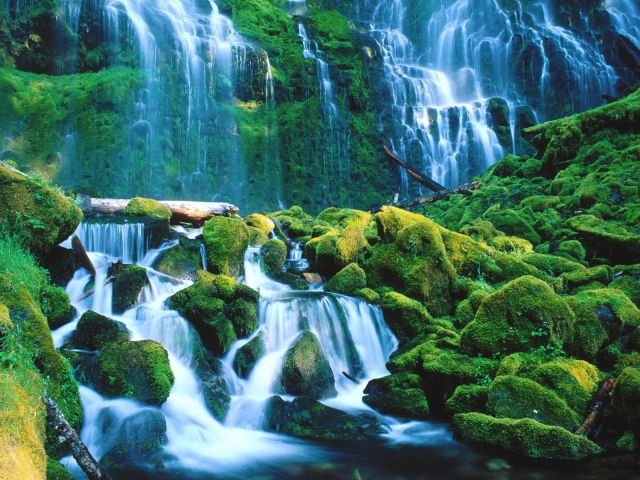 Oregon - Proxy Falls, Willamette National Forest