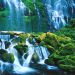 Oregon - Proxy Falls, Willamette National Forest