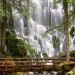 Oregon - Ramona Falls, Mount Hood Wilderness