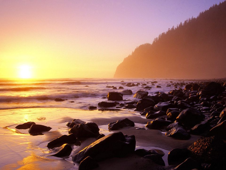 Oregon - South Beach, Cape Lookout State Park