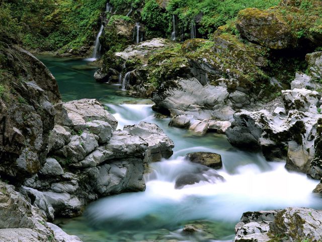 Oregon - Spring Creek, Siskiyou National Forest