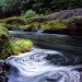 Oregon - Swirling Eddy, Clackamas River