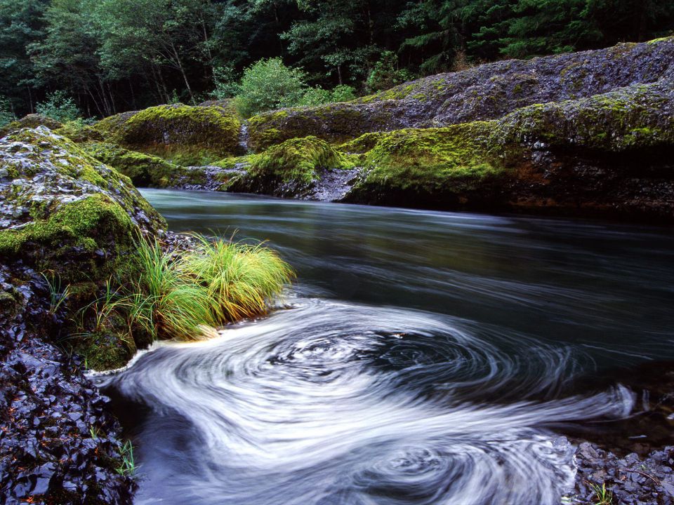 Oregon - Swirling Eddy, Clackamas River