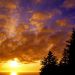 Oregon - Tillamook County Sunset