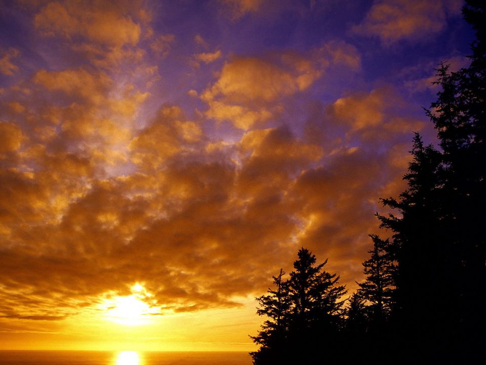 Oregon - Tillamook County Sunset