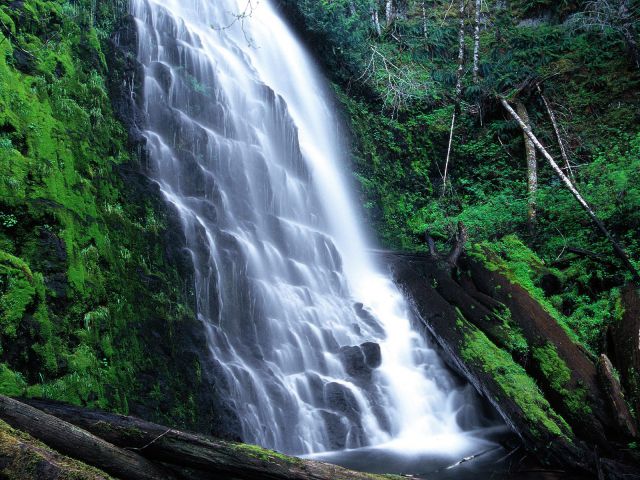 Oregon - University Falls, Tillamook State Forest