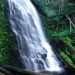 Oregon - University Falls, Tillamook State Forest